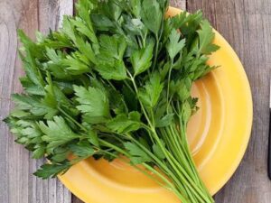 Parsley Leaf