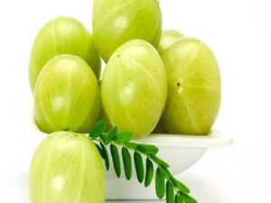 Goosberry(আমলকি)