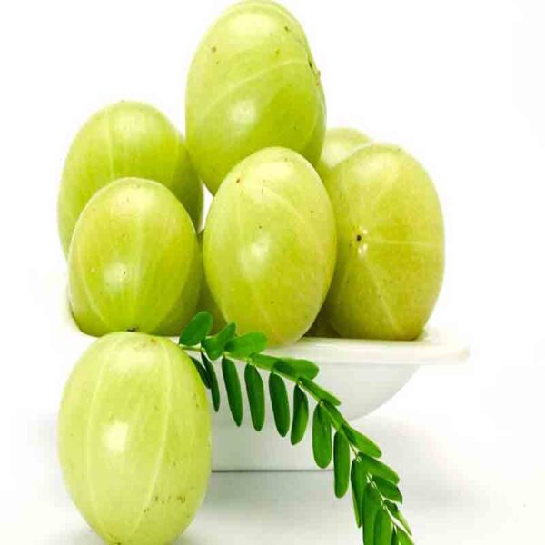 Goosberry(আমলকি)