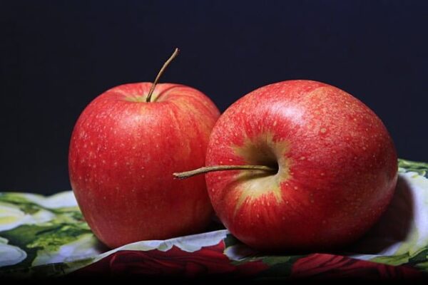 Apple (আপেল)