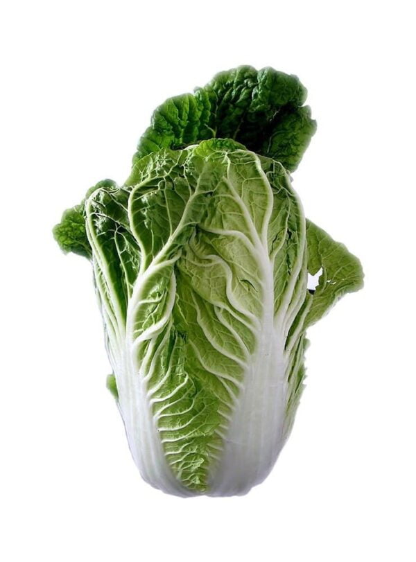 Chinese Cabbage