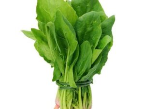 Spinach(পালন শাক)