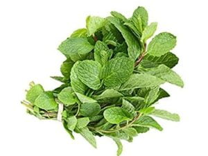 Mint(পুদিনা)