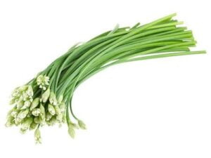 Scallion(পেঁয়াজ কালি)