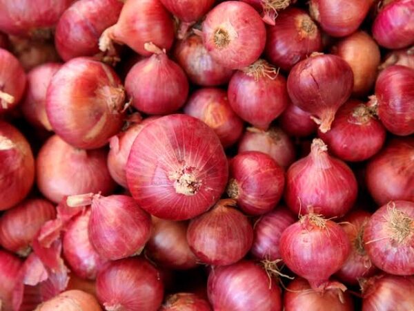 Onion (পেঁয়াজ)