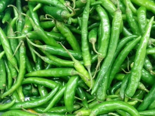 Green Chilli(কাচা লঙ্কা)