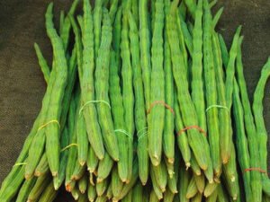 Drumstick(সজনে ডাটা)