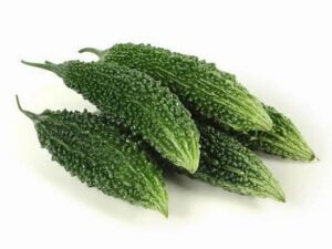 Bitter Gourd(উচ্ছে)