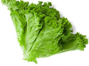 Lettuce