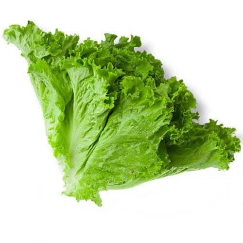 Lettuce