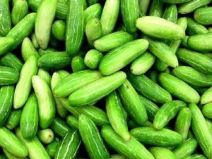 Ivy Gourd (কুন্দ্রি)