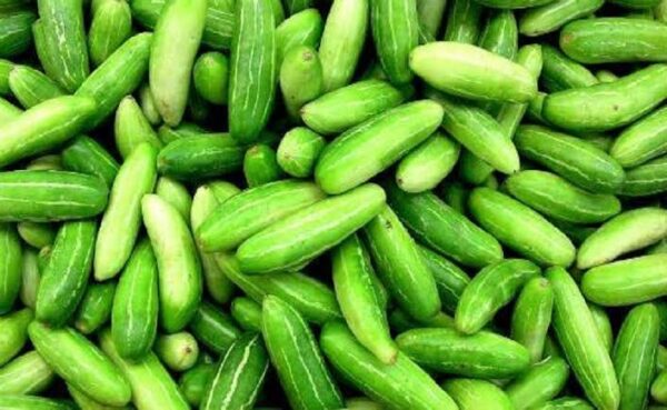 Ivy Gourd (কুন্দ্রি)