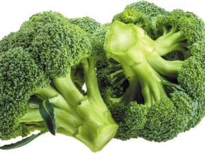 Broccoli Off Seasonal
