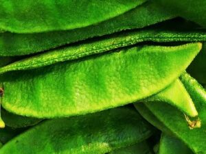 Lima Beans(সীম)