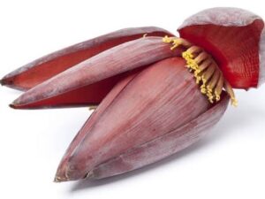 Banana Flower(মোচা)