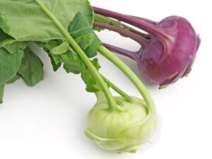 Kohlrabi(ওলকপি)