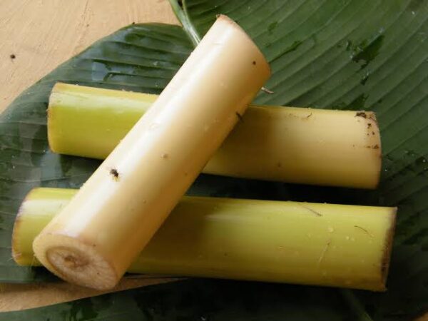 Banana Steam (থোর /ভারালি)