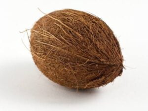 Coconut(নারকেল)