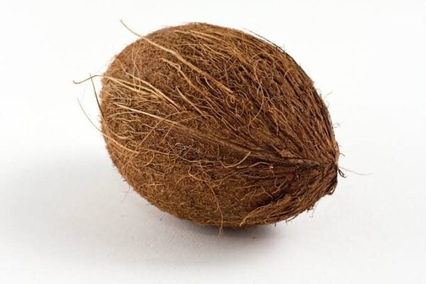 Coconut(নারকেল)