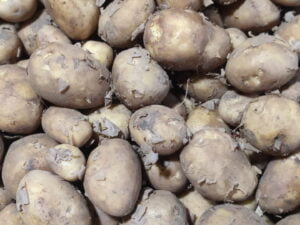 Small New Potato(নতুন ছোটো আলু)