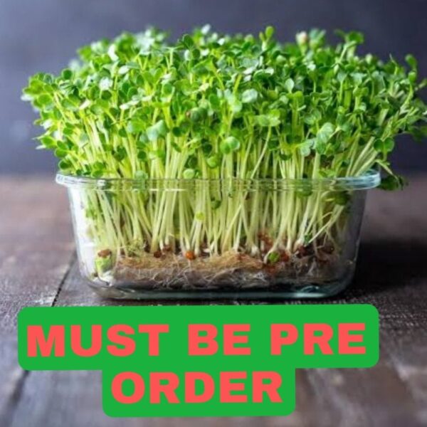 Micro Greens