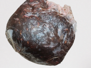 Tamarind without seeds(বিজ ছাড়া তেতুল)