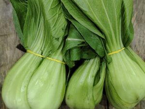 Bok choy/ Pok choi