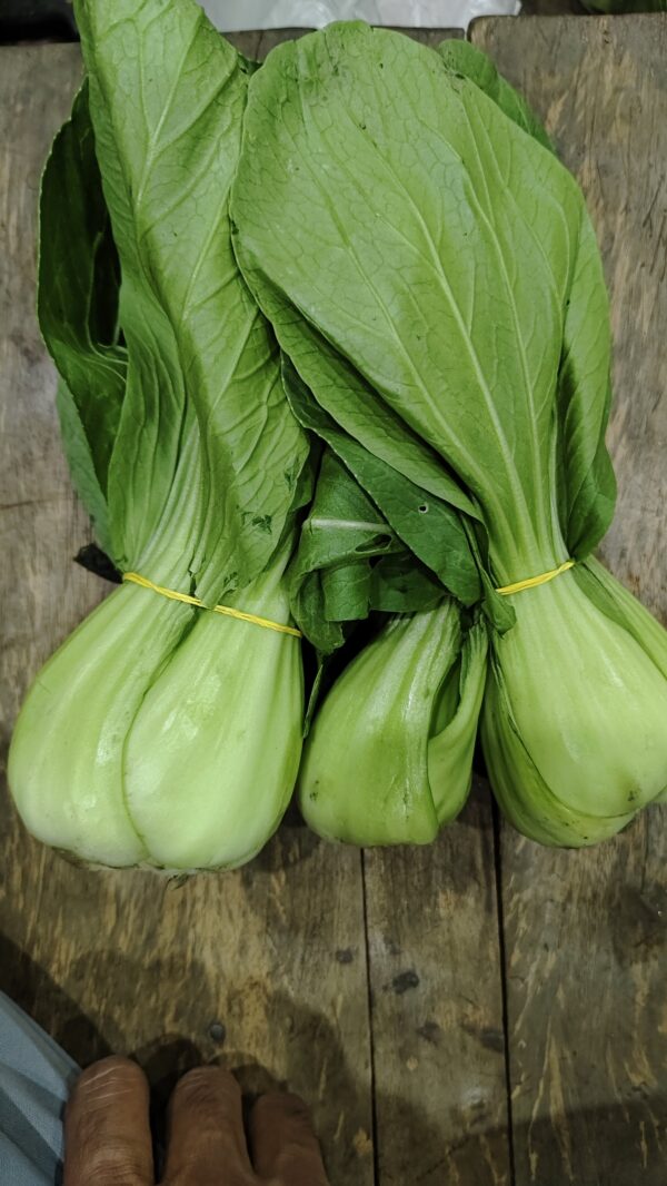 Bok choy/ Pok choi