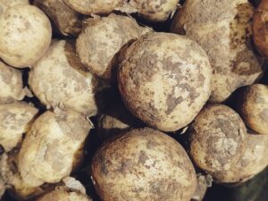 New Potato(নতুন আলু)