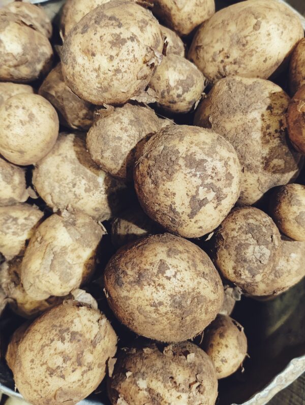 New Potato(নতুন আলু) - Image 2