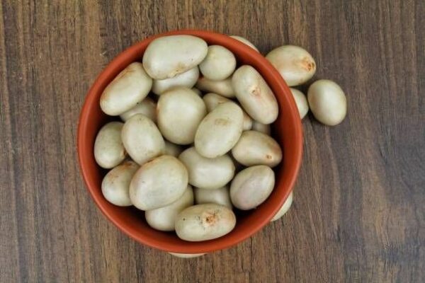 Jackfruit Seeds(কাঠালের বীজ)