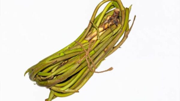 Taro Steam(কচুর লোতি)